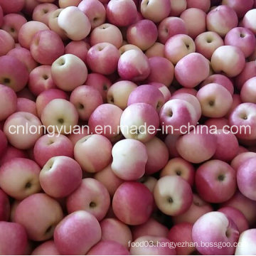 2016 New Crop paper Bagged Gala Apple